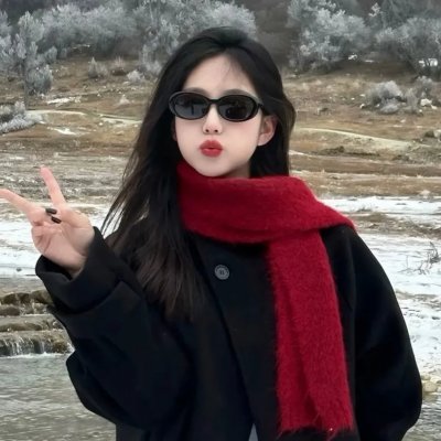 企鹅之岛:福克兰